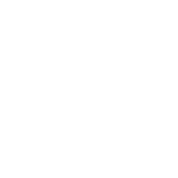 LinkedInIcon